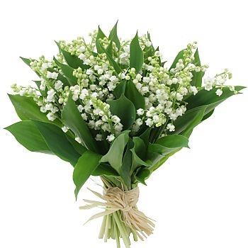 Muguet