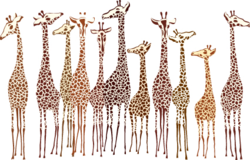 Zebra-and-giraffe-vector-2