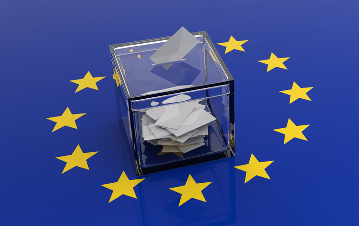 Scrutin-elections-europeennes-tiendra-26-2019_0_729_460